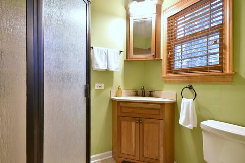 536 Orchards Pass, Bartlett, IL 60103 photo 15