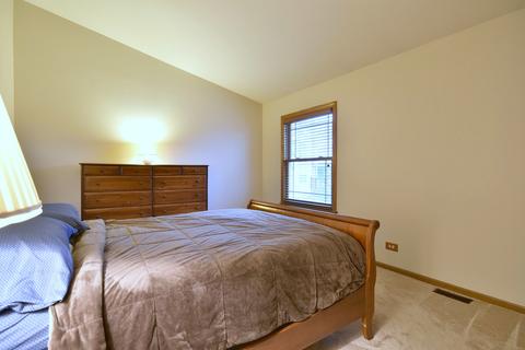 536 Orchards Pass, Bartlett, IL 60103 photo 17