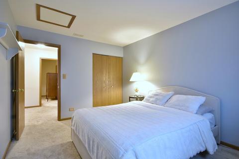 536 Orchards Pass, Bartlett, IL 60103 photo 23