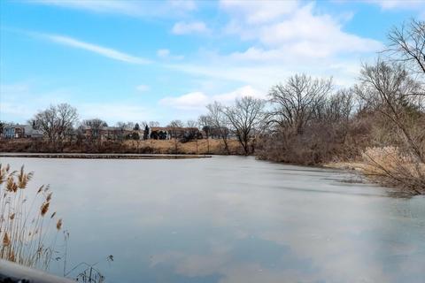 1827 Williamsburg Dr, Hoffman Estates, IL 60169 photo 32