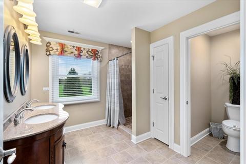 5 N538 Chambellan Ln, Wayne, IL 60184 photo 23