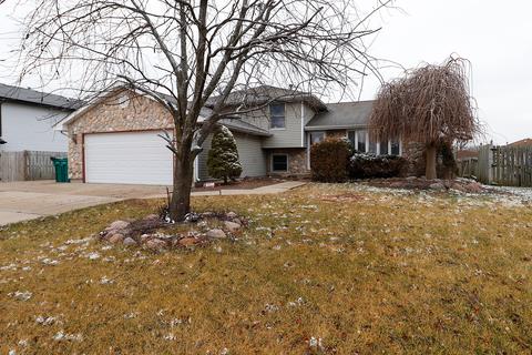 2502 Joe Adler Dr, Plainfield, IL 60586 photo 1