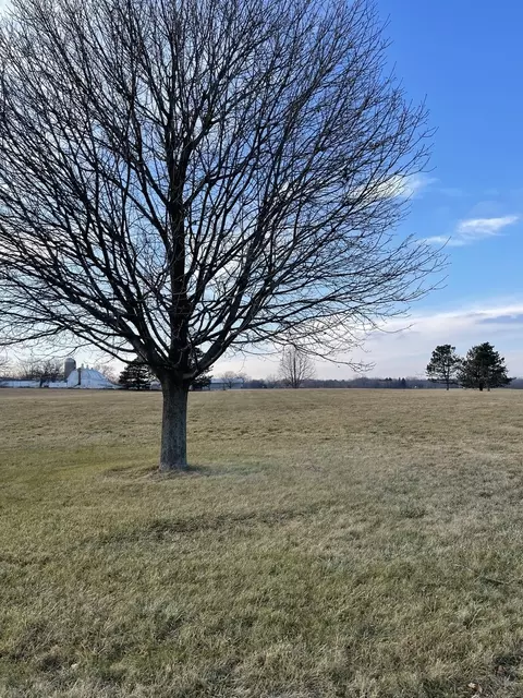 17408 Wildflower Cir, Union, IL 60180