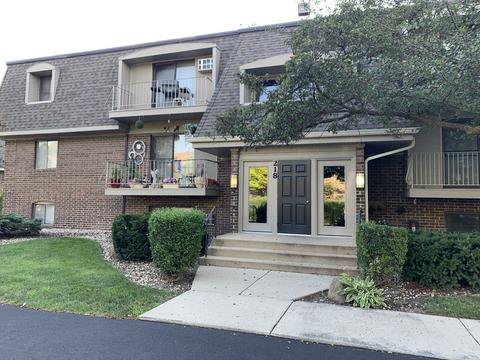 218 E Bailey Rd #E, Naperville, IL 60565 photo 22