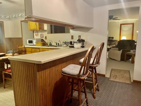 111 S Taylor St, Cherry, IL 61317 photo 10