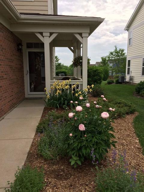 427 Azalea St, Elgin, IL 60124 photo 26