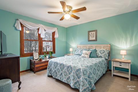 342 Bryan Dr, Cary, IL 60013 photo 23
