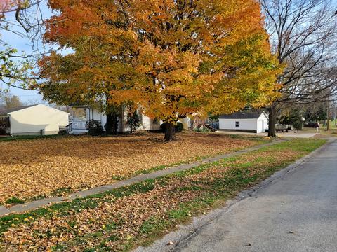 201 E Walnut St, Hudson, IL 61748 photo 70