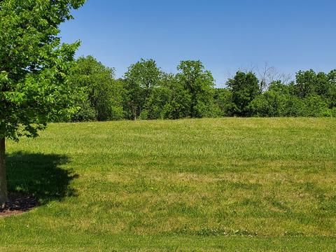 14838 W Concord Ct, Wadsworth, IL 60083