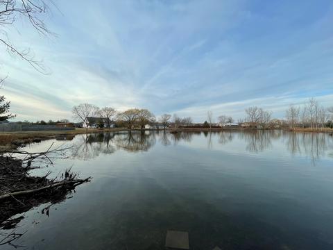 38 Nightingale Cir, Camargo, IL 61919