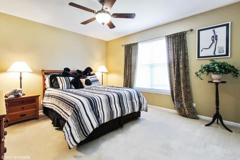 208 Blue Heron Way, Bartlett, IL 60103 photo 18