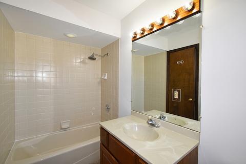 407 Spring St, Geneva, IL 60134 photo 20