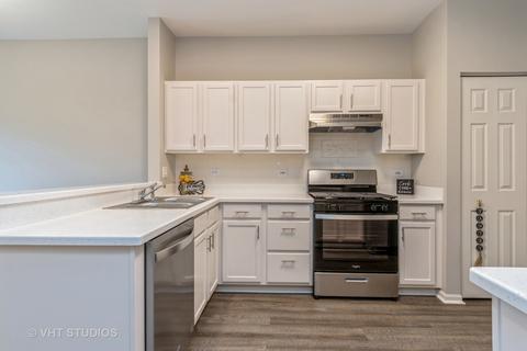 21554 W Empress Ln, Plainfield, IL 60544 photo 5