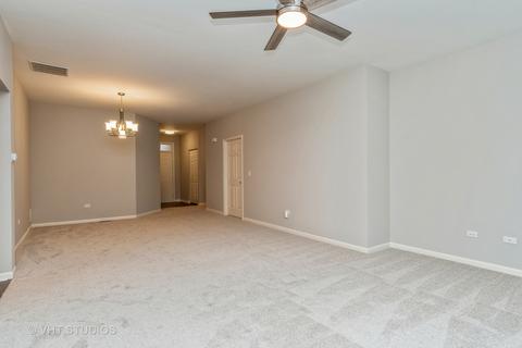 21554 W Empress Ln, Plainfield, IL 60544 photo 13
