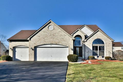 224 Edgewater Dr, Bartlett, IL 60103 photo 45