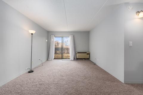 5550 Astor Ln #111, Rolling Meadows, IL 60008 photo 9