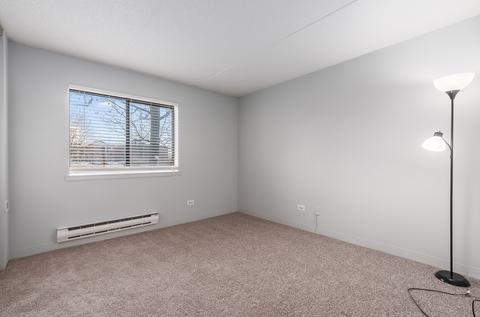 5550 Astor Ln #111, Rolling Meadows, IL 60008 photo 11