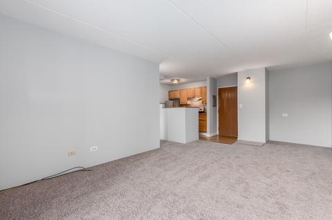 5550 Astor Ln #111, Rolling Meadows, IL 60008 photo 6