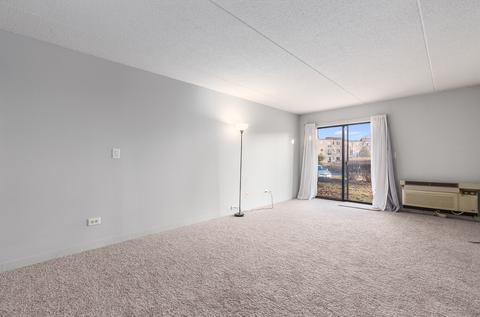 5550 Astor Ln #111, Rolling Meadows, IL 60008 photo 8