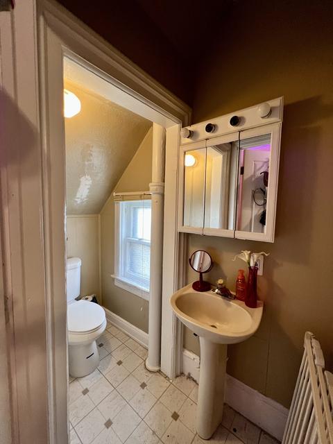 454 Locust St, Elgin, IL 60123 photo 14