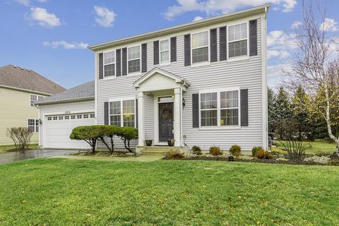 13631 Marigold Rd, Plainfield, IL 60544 photo 1