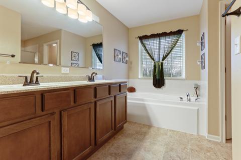 13631 Marigold Rd, Plainfield, IL 60544 photo 9