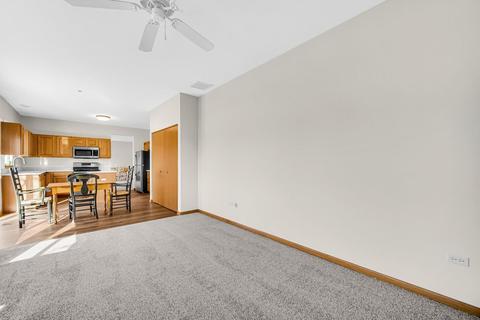 21122 W Braxton Ln, Plainfield, IL 60544 photo 15