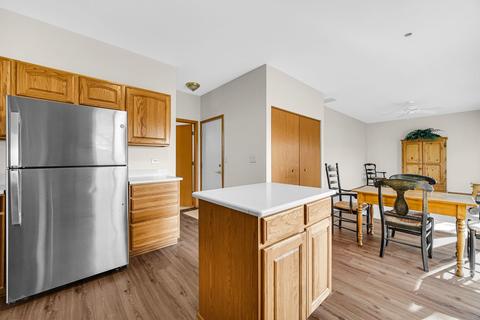 21122 W Braxton Ln, Plainfield, IL 60544 photo 7