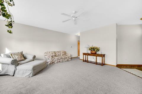 21122 W Braxton Ln, Plainfield, IL 60544 photo 4
