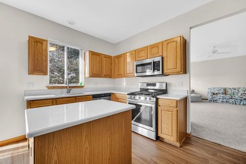 21122 W Braxton Ln, Plainfield, IL 60544 photo 8