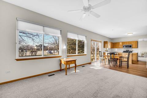 21122 W Braxton Ln, Plainfield, IL 60544 photo 16