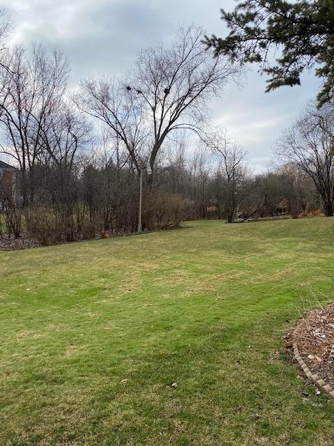 149 Tomlin Cir, Burr Ridge, IL 60527 photo 27