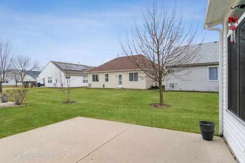 13628 S Redbud Dr, Plainfield, IL 60544 photo 24