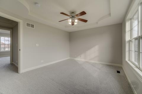 16522 S Mueller Cir, Plainfield, IL 60586 photo 58