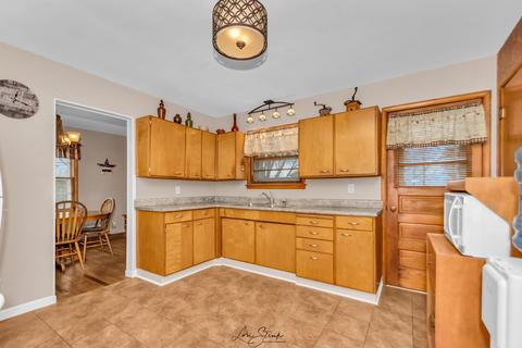 111 N Shelly Ave, Reddick, IL 60961 photo 13