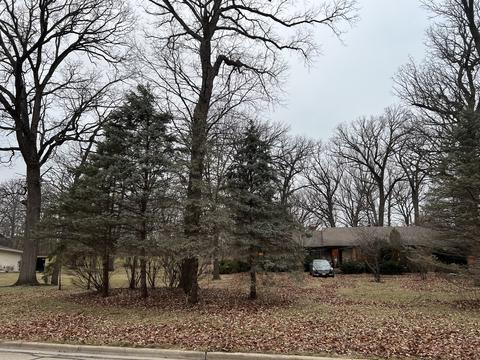 734 Old Stage Rd, Morris, IL 60450 photo 33