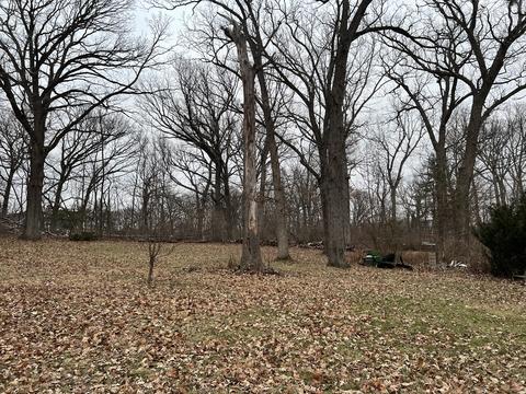 734 Old Stage Rd, Morris, IL 60450 photo 35