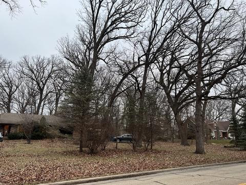 734 Old Stage Rd, Morris, IL 60450 photo 32