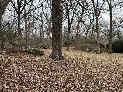 734 Old Stage Rd, Morris, IL 60450 photo 37