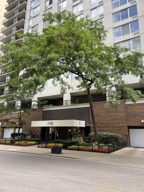 71 E Division St #1206, Chicago, IL 60610 photo 1