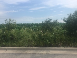 7515 E Spg Rd  
