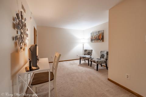 202 Chamberlain Dr, Dekalb, IL 60115 photo 19