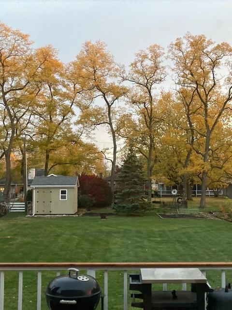 11034 Bryant Rd, Mokena, IL 60448 photo 19