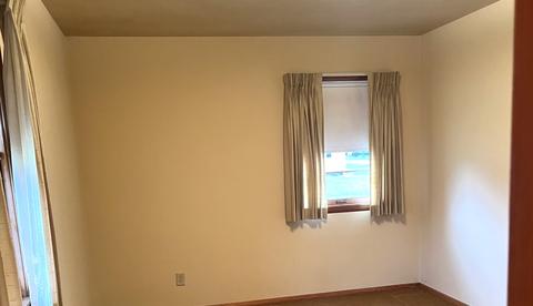 303 S 3rd St, Cherry, IL 61317 photo 12