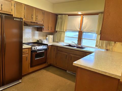 303 S 3rd St, Cherry, IL 61317 photo 8