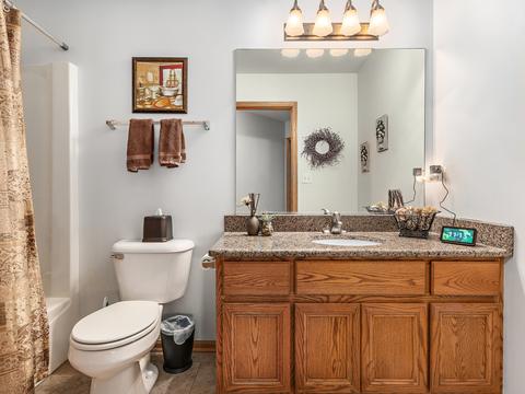 2203 Primrose Dr, Plainfield, IL 60586 photo 17