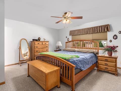 2203 Primrose Dr, Plainfield, IL 60586 photo 19