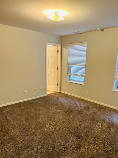 2830 E 77th Pl, Chicago, IL 60649 photo 10