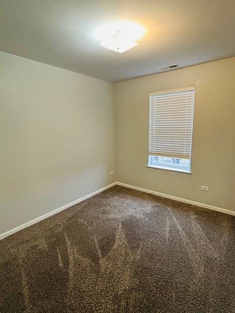 2830 E 77th Pl, Chicago, IL 60649 photo 13