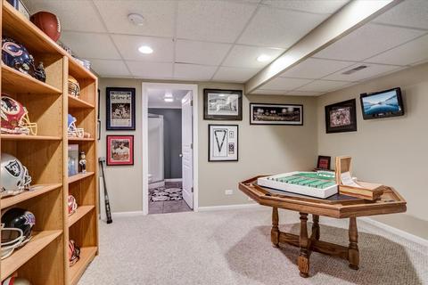 531 Brookside Ave, Algonquin, IL 60102 photo 38